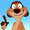 Timon